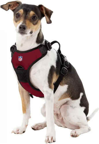 Vista 3 de Littlearth NFL Las Vegas Raiders Pet Front Clip Harness, Team Color, Small