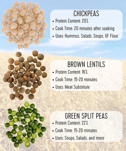 Vista 8 de Palouse Brand Guisantes verdes certificados sin residuos de glifosato 1 libra Sin OMG Kosher