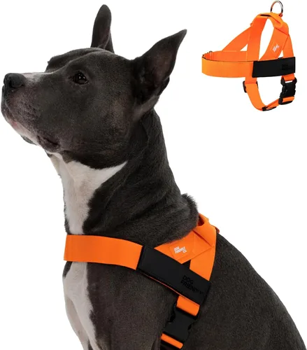Vista 18 de Arnés para perro Dog Friendly Co Correas resistentes a rozaduras, cuello y pecho ajustables, y anillo en D resistente Resistente, cómodo, fácil