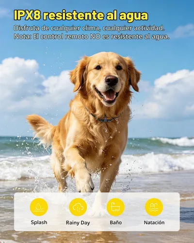 Vista 4 de Collar eléctrico de entrenamiento para perros con control remoto de 1640 pies, E-Shock, modos de entrenamiento seguros, collares impermeables IP67
