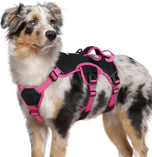 Vista 28 de rabbitgoo - Arnés para perros a prueba de fugas, arnés para mascotas acolchado y suave de cuerpo completo, arnés reflectante ajustable sin tirones