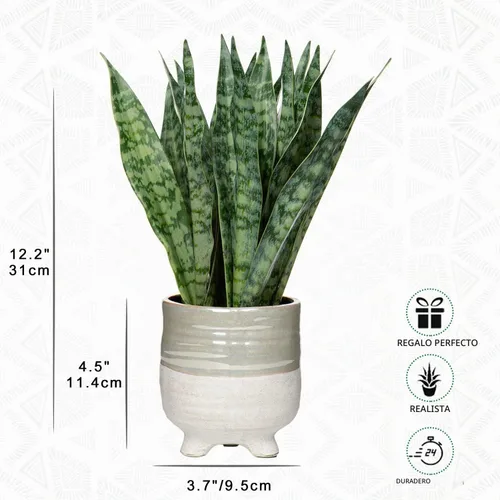 Vista 2 de Hollyone Planta de serpiente falsa de 12 pulgadas, pequeña planta de serpiente artificial en maceta con maceta de cerámica, planta Sansevieria