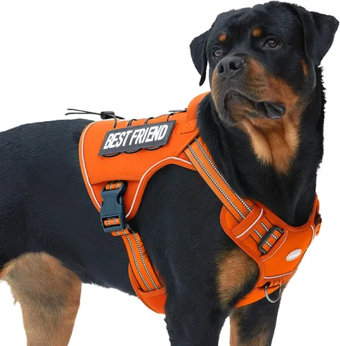 Vista 19 de Auroth - Arnés táctico para perros pequeños y medianos, sin tirones, arnés ajustable para mascotas, reflectante, K9, entrenamiento, trabajo