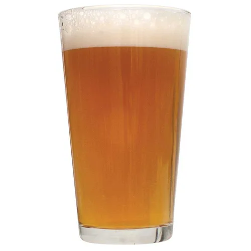 Vista 8 de Northern Brewer - Paquete de 2 kits de recetas de cerveza belga de 1 galón