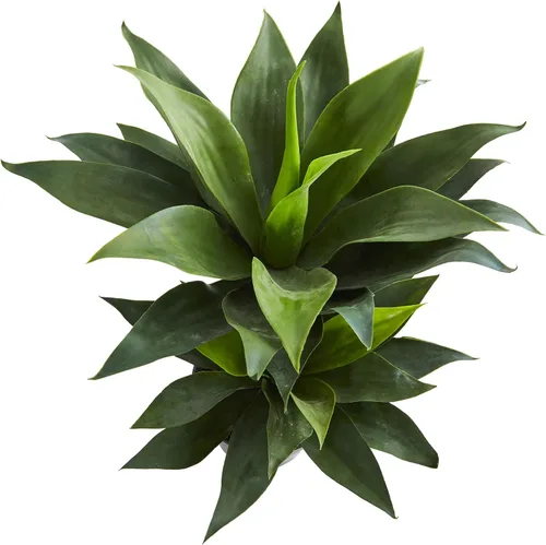 Vista 3 de Nearly Natural Planta artificial suculenta de agave doble de 29 pulgadas