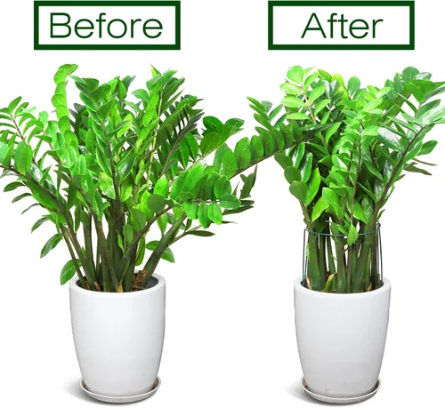 Vista 6 de LEOBRO Estacas de soporte para plantas, 4 estacas para plantas, soporte para plantas, jaulas y soportes de peonía, estacas de jardín, estacas