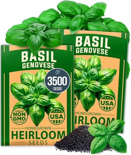 Vista 47 de HOME GROWN - Semillas de zinnia rosadas – 600 Zinnias Luminosa de 0.02 oz, semillas de flores anuales fáciles de cultivar para plantar al aire libre