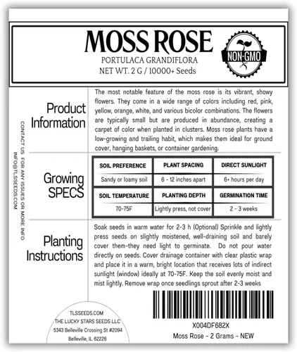 Vista 3 de 10000 semillas mixtas de musgo rosa - HOA Mười Giờ - también conocidas como Portulaca Grandiflora Mix, Moss-Rose Purslane, Once en punto, tolerantes