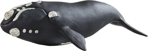 Vista 2 de Safari Ltd. Figura de ballena derecha – Figura detallada de modelo de plástico de 9.25 pulgadas – Divertido juguete educativo para niños, niñas