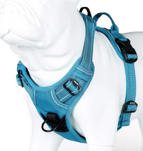 Vista 7 de JUXZH Truelove Arnés para perro sin tirones con mango de fácil control y 2 accesorios para correa, chaleco reflectante ajustable para mascotas