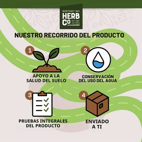 Vista 5 de MONTEREY BAY HERB CO Monterey Bay Herb Co. Bayas enteras de enebro Añadir a sopas, carnes estofadas y caza (1/4 libra)