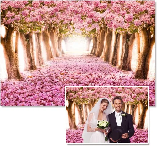 Vista 8 de AOFOTO Fondo de fondo de flores de cerezo de primavera de 5 x 3 pies, flores rosadas, árbol, pétalos florales, boulevard, fondo de fotografía, baby