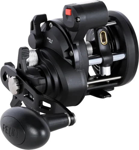 Vista 10 de Carrete de pesca Penn Rival Level Wind convencional
