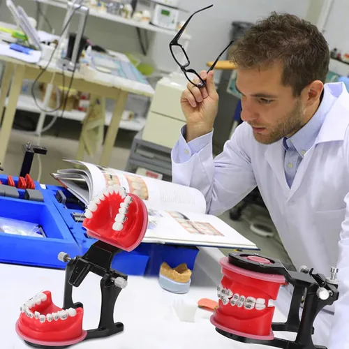Vista 6 de Modelo de Typodonts de ortodoncia - Modelo de práctica de dientes de terraplén de cera de encías, moldes de reposicionamiento de ortodoncia