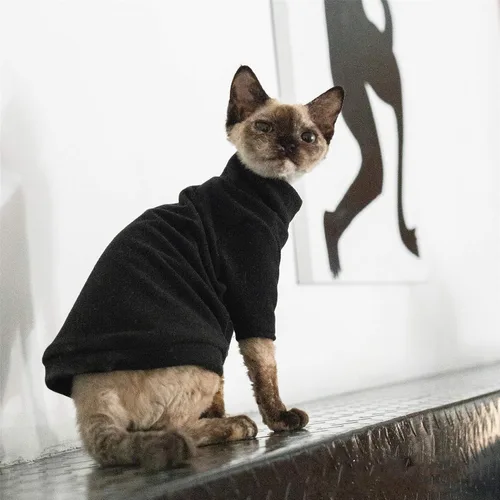 Vista 3 de Ropa de gatos sin pelo, camiseta de algodón, chaleco transpirable para primavera y otoño, ropa de gato con cuello alto para Sphynx, Cornish Rex