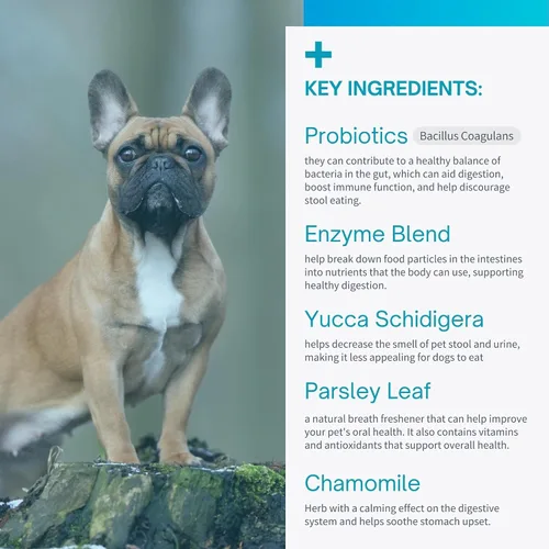 Vista 5 de Masticables blandos de coprofagia disuasoria para comer heces para perros