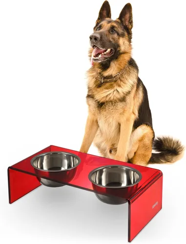 Vista 26 de DBL2000B Keaton - Comedero rectangular elevado moderno de lucita para mascotas de 5 pulgadas, tamaño pequeño/mediano, con 2 cuencos de acero