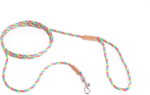 Vista 212 de Alvalley Correa para perros estilo broche – Correa de nailon estilo broche para perros – Fácil de manejar – Perfecto para perros pequeños, medianos