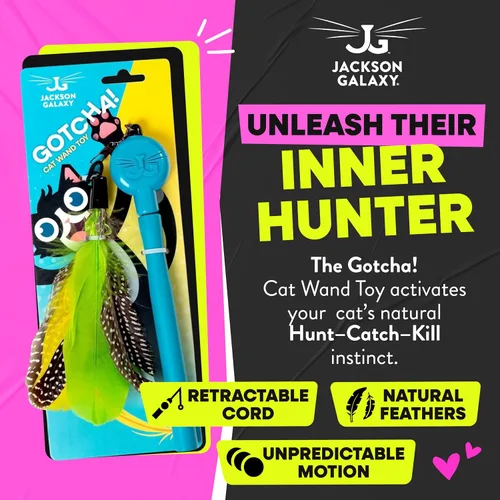 Vista 2 de Jackson Galaxy Gotcha! Juguete de varita para gatos, juguete retráctil para juegos atractivos, varita telescópica con plumas naturales para gatos