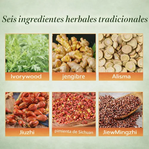 Vista 8 de Parche de equilibrio de hierbas japonesas, ingredientes a base de plantas, diseño adhesivo cómodo, fácil uso tópico, 2 cajas, 10 parches (2)