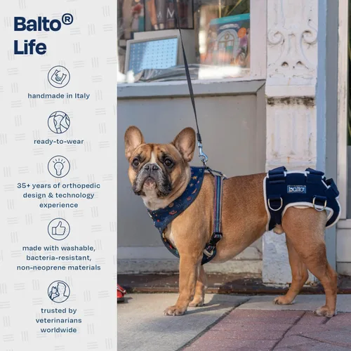Vista 3 de Balto Life - Soporte para displasia de cadera, arnés de soporte de cadera para perro, soporte de compresión ajustable en el extremo trasero