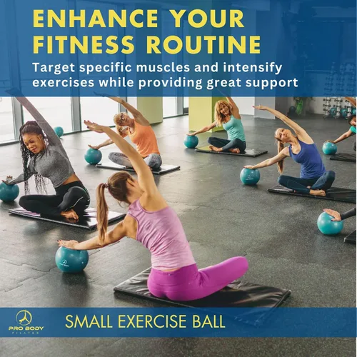 Vista 8 de ProBody Pilates Mini Pelota de Ejercicio con Bomba - Pelota de Entrenamiento de 9 Pulgadas para Estabilidad, Barra, Yoga, Núcleo y Terapia Física