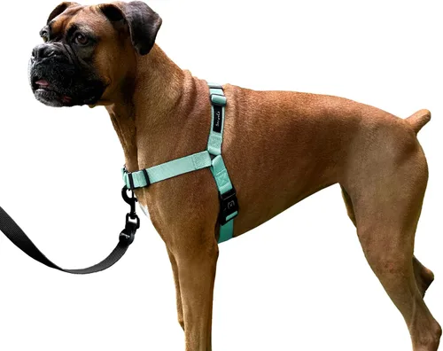 Vista 10 de ShawnCo Dream Walk Arnés para Perros Sin Tirones - Ajustable, Cómodo, Fácil de Usar, Cabestro para Mascotas para Ayudar a Detener los Tirones
