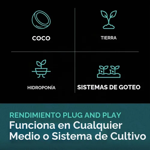 Vista 5 de Kit de nutrientes de 5 partes, sistema de nutrición líquida para crecimiento y floración, base A, base B, caMg, flexible, flujo, apoya