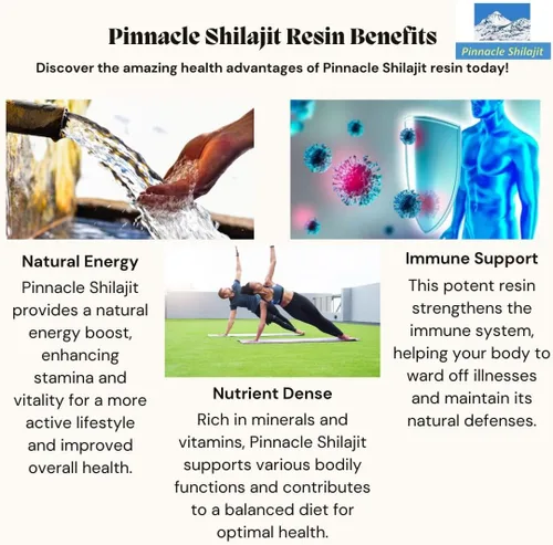 Vista 3 de Pinnacle - Resina Shilajit de grado dorado de alta calidad, 100% Shilajit del Himalaya de Gilgit Baltistan, potente energía natural, enfoque y apoyo