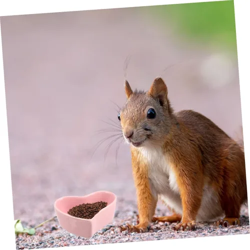 Vista 7 de POPETPOP Plato de comida para hámster, 2 unidades, cuenco de cerámica para hámster mascota, no se cae fácil