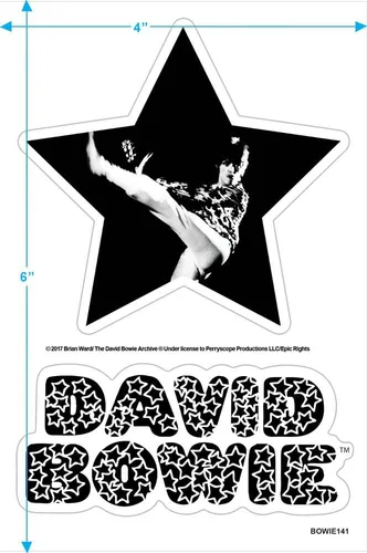Vista 4 de David Bowie El hombre que vendió el mundo álbum camiseta y pegatinas