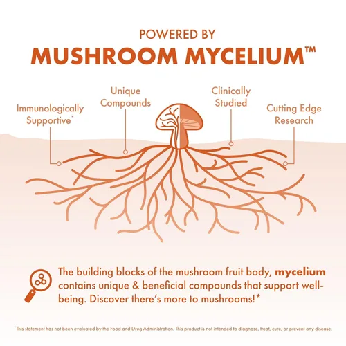 Vista 4 de Host Defense Cordyceps Powder - Suplemento de apoyo inmunológico y energético - Suplemento de salud renal con hongos Cordyceps - Suplemento de apoyo