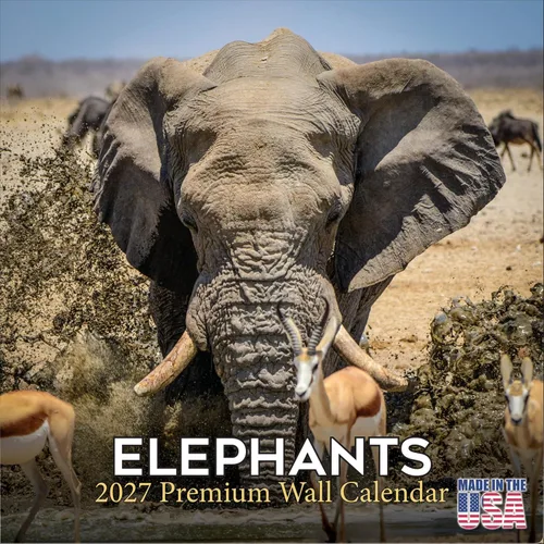 Vista 528 de Calendario de grises africanos 2025 2026 – Planificador mensual de pared de aves africanas – 12 x 18 pulgadas (abierto), calendario de pared