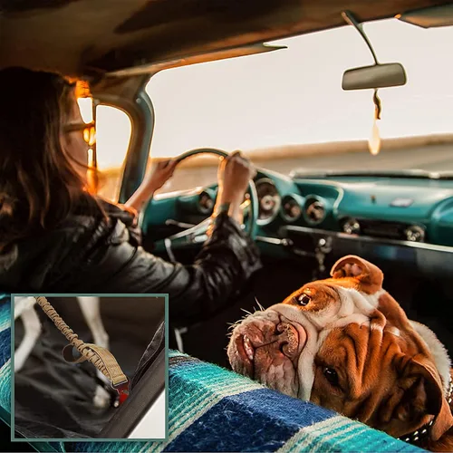 Vista 7 de BUMBIN Arnés para perros Medoum sin tirones, arnés táctico para perro, con asa, arnés de chaleco ajustable para perro, correa elástica de 6 pies