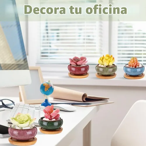 Vista 6 de 24 macetas pequeñas para suculentas de 2.5 pulgadas