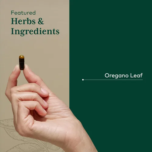Vista 4 de GAIA HERBS PRO Aceite de orégano - Suplemento de apoyo inmunológico - Carvacrol y timol para apoyo antioxidante - Fórmula de salud y bienestar
