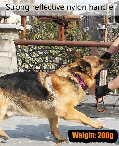 Vista 6 de Clysoru Juguete de yute resistente para perros