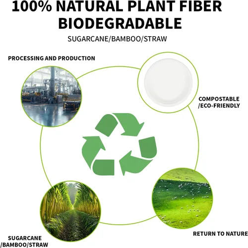 Vista 6 de Platos de papel compostables de 9 pulgadas, 100% biodegradables, resistentes y ecológicos, platos desechables para camping, fiestas, bodas, barbacoa