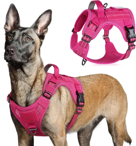 Vista 63 de rabbitgoo Arnés táctico para perros pequeños, chaleco de servicio militar sin tirones con asa y Molle, de fácil control para entrenar y caminar