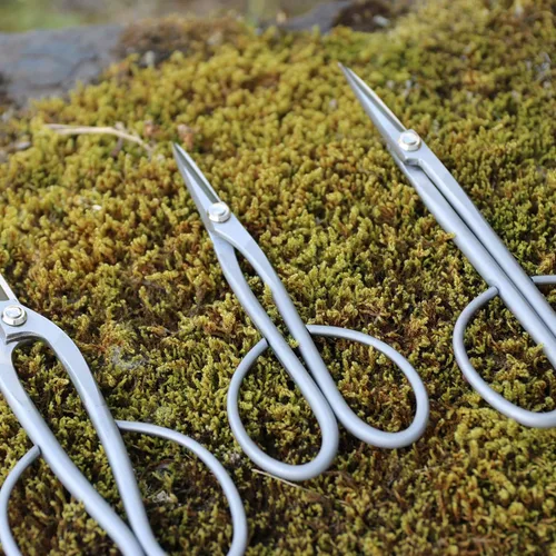 Vista 3 de KAKURI Satsuki - Tijeras de bonsái fabricadas en Japón de 7 pulgadas, hoja japonesa de acero inoxidable, tijeras de bonsái de precisión para poda