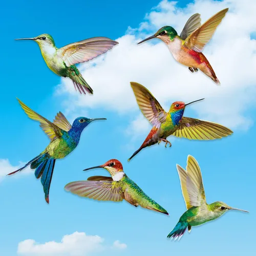 Vista 6 de Blulu 6 piezas de calcomanías de ventana de colibrí de gran tamaño, calcomanías anticolisión para evitar golpes de pájaros en el vidrio