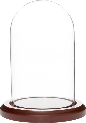 Vista 4 de Plymor Cúpula de exhibición de cristal de 3 "x 5" (base de madera MDF negra)