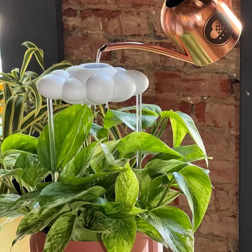 Vista 3 de La Nube Original de Lluvia Goteante para Plantas, Nube de Lluvia para Riego de Plantas, Regalos para Amantes de las Plantas, Regalos para Mujeres