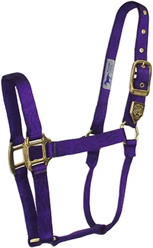 Vista 18 de Hamilton Caballo de nailon de 1 pulgada, tamaño pequeño (500-800 libras), azul baya