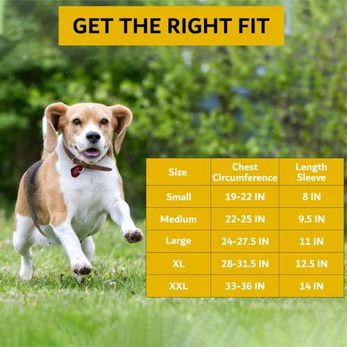 Vista 2 de AGON Codera para perro para soporte de codo - Estabilizador de bisagra ajustable protector de codo para perro - Soporte de codo de neopreno