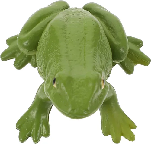 Vista 4 de NUOBESTY Figura de juguete realista de rana verde, modelo animal de plástico para educación científica de niños, figura de rana en miniatura