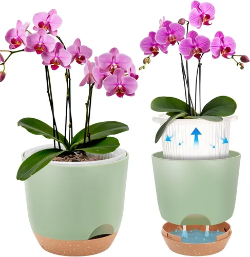 Vista 12 de Macetas de Orquídeas de Riego Automático para Plantas de Interior, 5.8 Pulgadas Macetas para Orquídeas, Macetas de Flores para Plantas