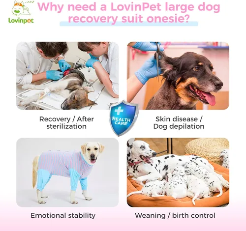 Vista 4 de LovinPet Traje de recuperación para perros, cuidado abdominal antilamidas para perros grandes y medianos, collar alternativo poscirugía, rayas azul