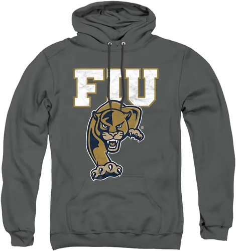 Vista 161 de Distressed College Primary Logo Adult Pullover Hoodie Collection 1 Universidad Estatal de Albany