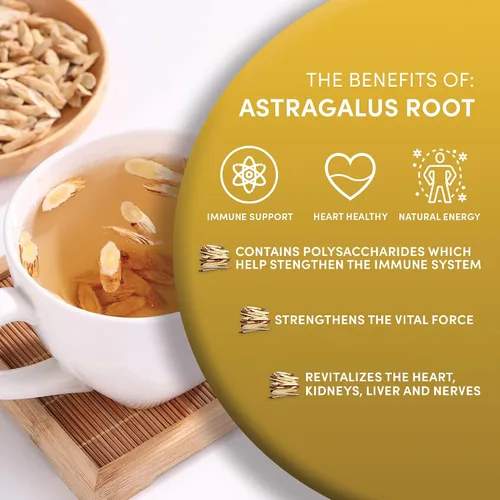 Vista 3 de Worldwide Botanicals Raíz de astrágalo orgánico – 8 onzas – 100% astrágalo membranaceus – corte y tamizado – Huang Qi utilizado en la medicina